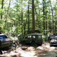 Illustration for article titled Massive Secret Mustang Junkyard Found In Rhode Island Forest